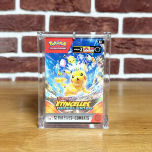 Bundle acrylique pokémon