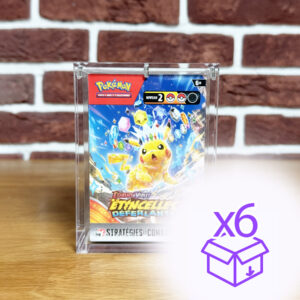 Bundle acrylique pokémon